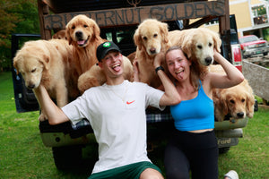 Private Wines and Wags Event (for up to 30 people)