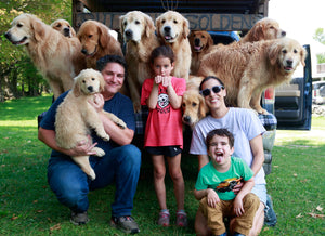 Private Golden Retriever Experience (for up to 40 people)