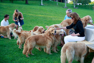 Private Wines and Wags Event (for up to 30 people)