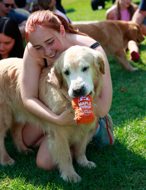 Dog Toy