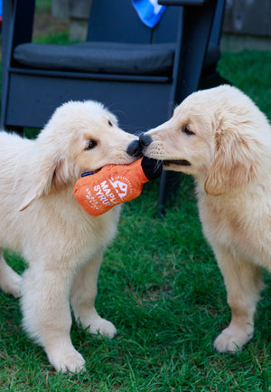 Dog Toy