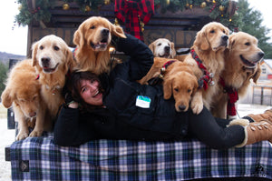 Candy Canes, Carols and Cuddles (with the Butternut Goldens!)