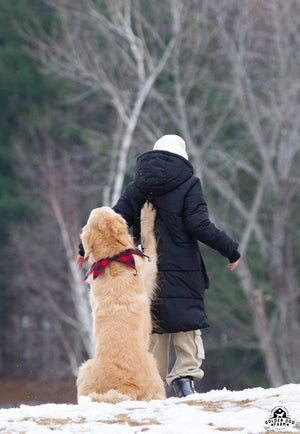 Candy Canes, Carols and Cuddles (with the Butternut Goldens!)