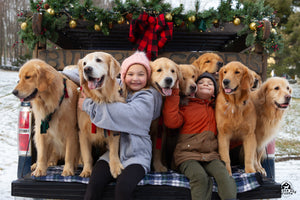 Candy Canes, Carols and Cuddles (with the Butternut Goldens!)