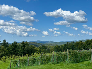 Private Wines and Wags Event (for up to 30 people)