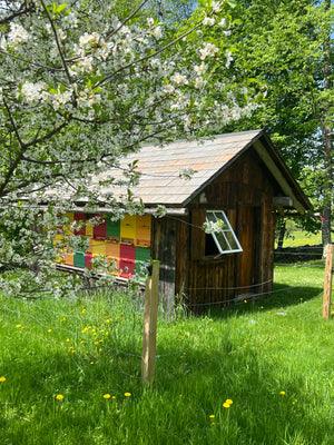 Private Farm Tour (for up to 10 people)