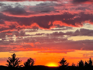 Private Sunset  Vineyard Wine Tasting