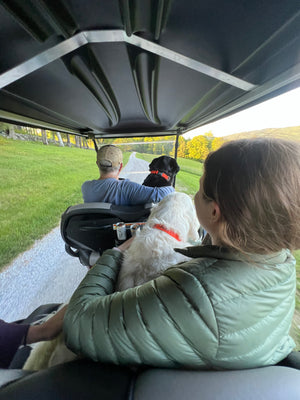 Private Farm Tour (for up to 10 people)