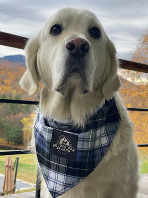 Golden Dog Farm x Vermont Flannel Dog Bandanas