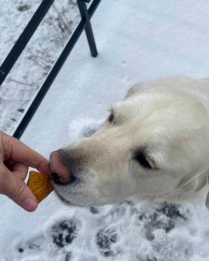 Unified Dog Treats (formerly known as Bellcate School Dog Treats)