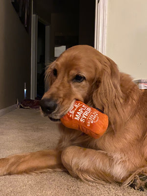 Dog Toy