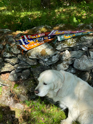 happy of goldens felt pennant at golden dog farm