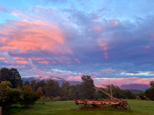 Private Sunset  Vineyard Wine Tasting