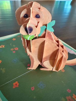 Golden Dog Farm Pop-Up Greeting Card x LovePop