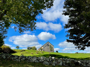 Private Farm Tour (for up to 10 people)