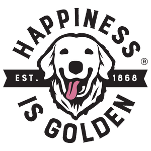 Happiness Is Golden Stickers + Magnets