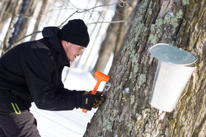 Organic Vermont Maple Syrup