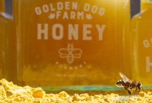 Raw Vermont Homestead Honey