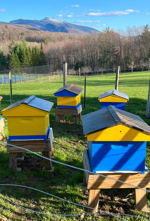 General Farm Tour - Bees and Maple Trees