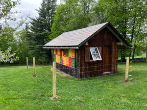 General Farm Tour - Bees and Maple Trees