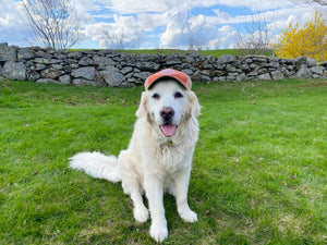 Golden Dog Farm Trucker Hat