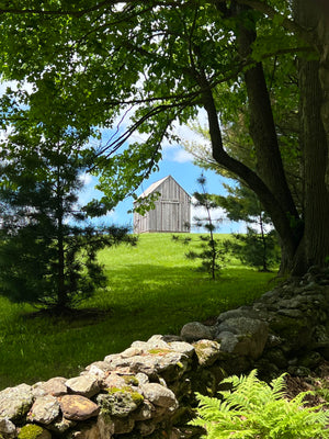 General Farm Tour - Bees and Maple Trees