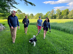 General Farm Tour - Bees and Maple Trees