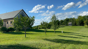 General Farm Tour - Bees and Maple Trees