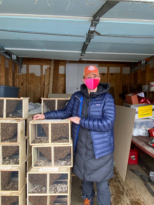 Raw Vermont Homestead Honey
