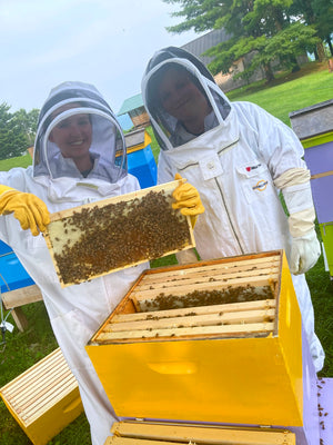 Raw Vermont Homestead Honey