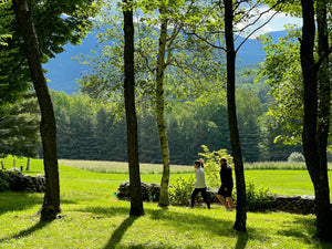 General Farm Tour - Bees and Maple Trees
