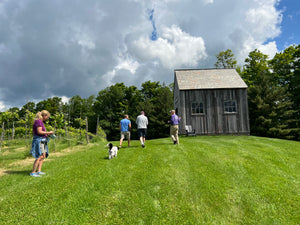 General Farm Tour - Bees and Maple Trees