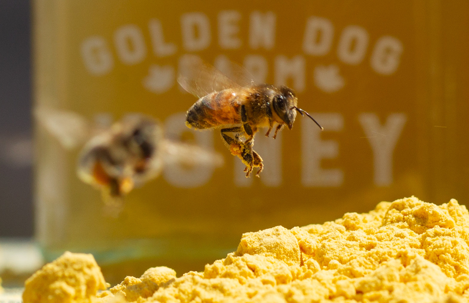 The Bees Will Get A Charge Out of This!