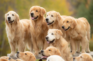 A Happy In Motion Aug. 28