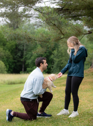 Golden Dog Farm Proposal Package