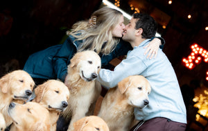 Golden Dog Farm Proposal Package