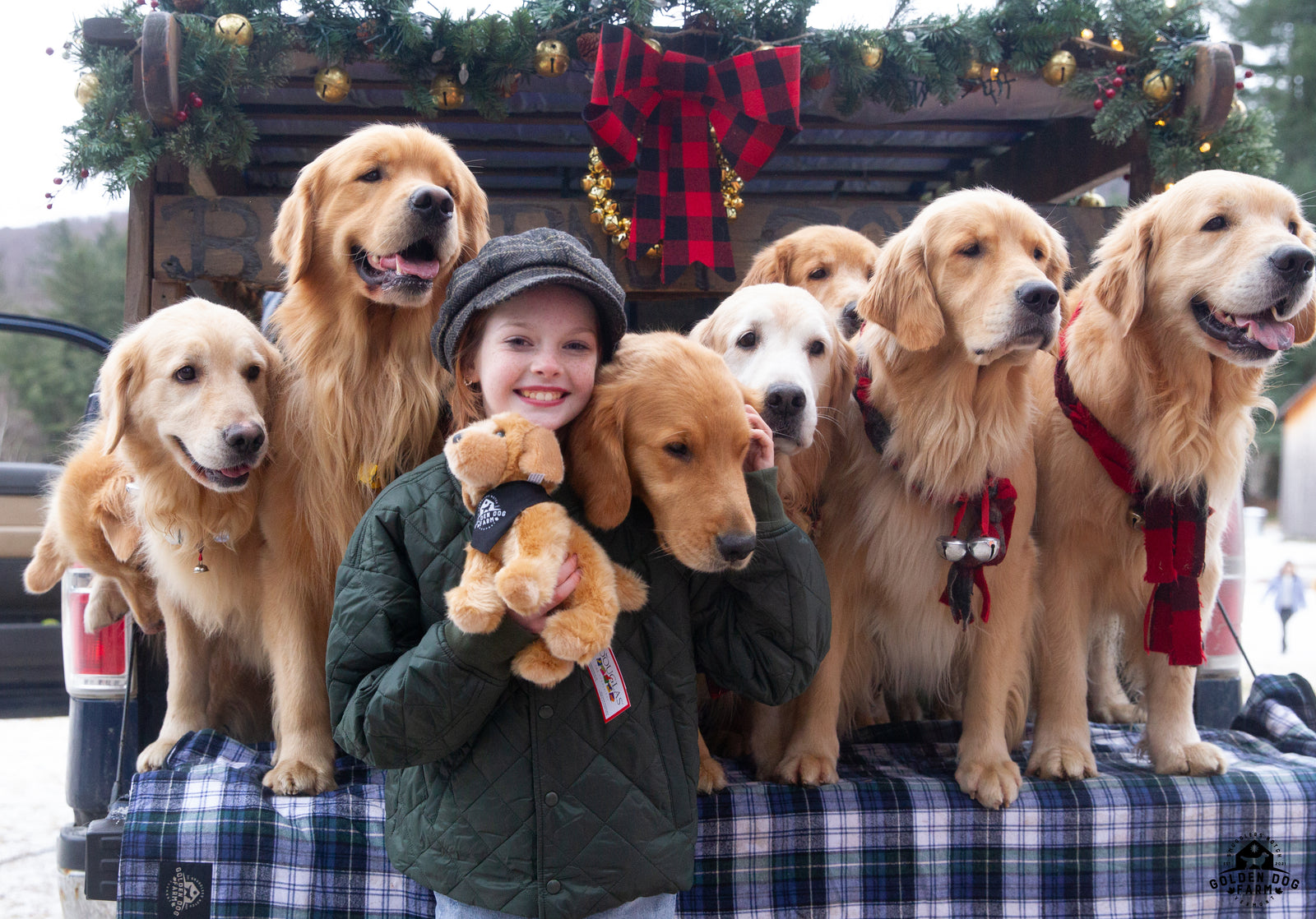 Candy Canes, Carols and Cuddles (with the Butternut Goldens!)
