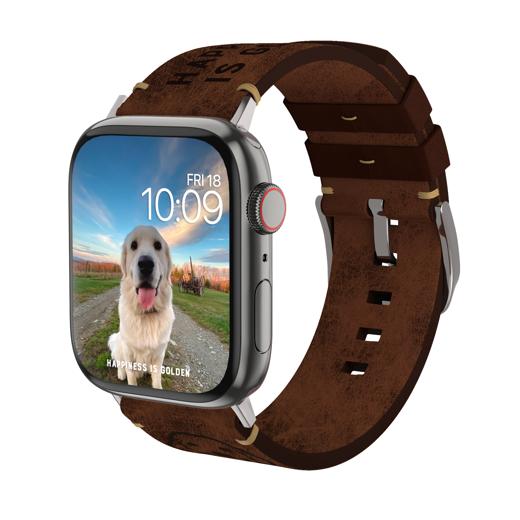 Golden Retriever Leather Watchband Apple Watch