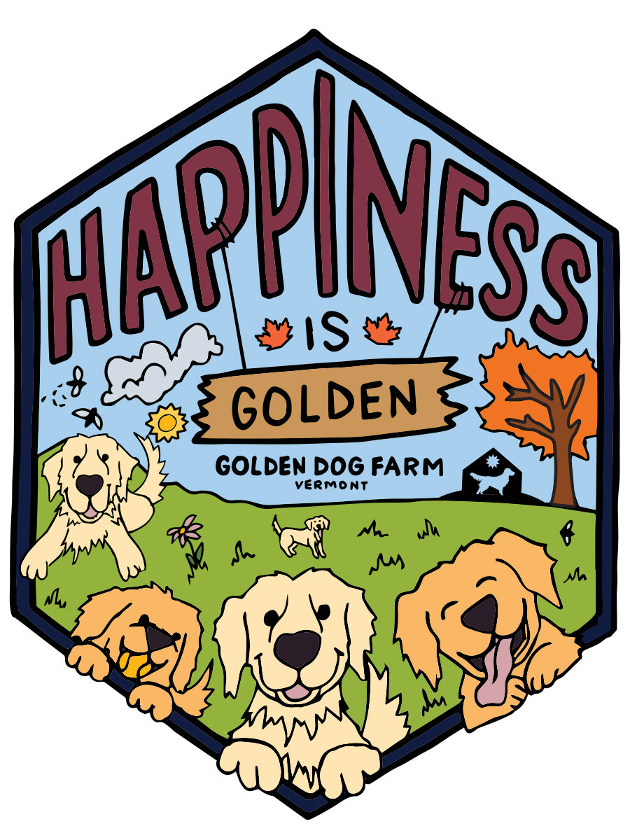 Golden Retriever, Happy Dog Stock Photo, Picture and Royalty Free