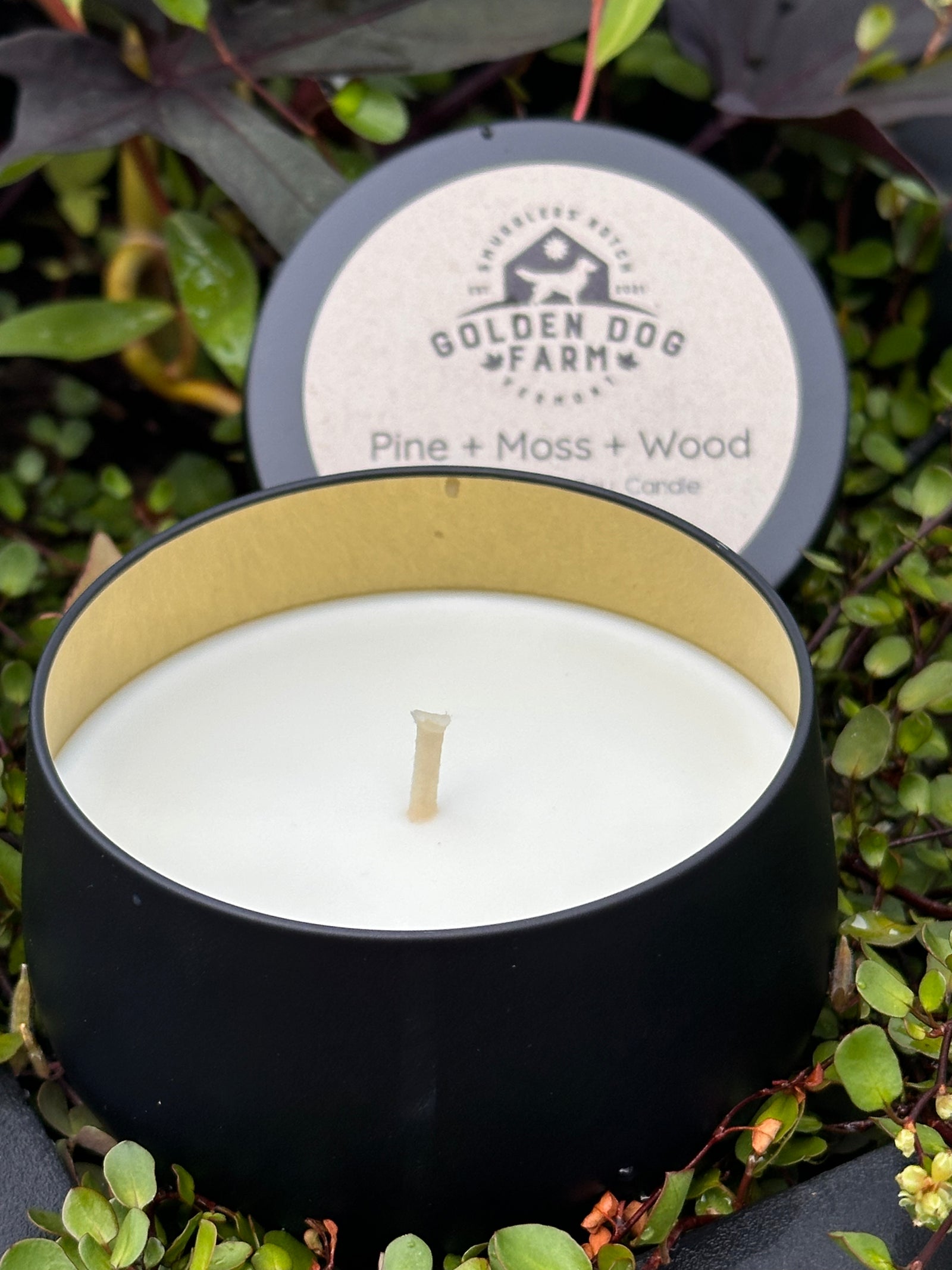 8 oz Pine+Moss+Amber Soy Candle