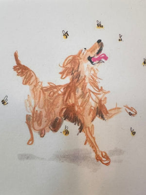 Illustrated Notecards x Jenny Bloomfield