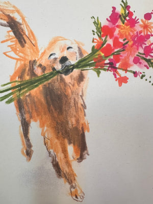Illustrated Notecards x Jenny Bloomfield