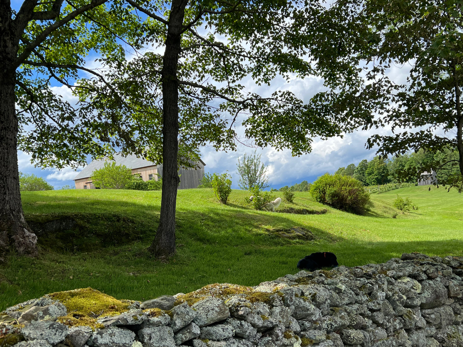 Private Farm Tour (for up to 10 people)