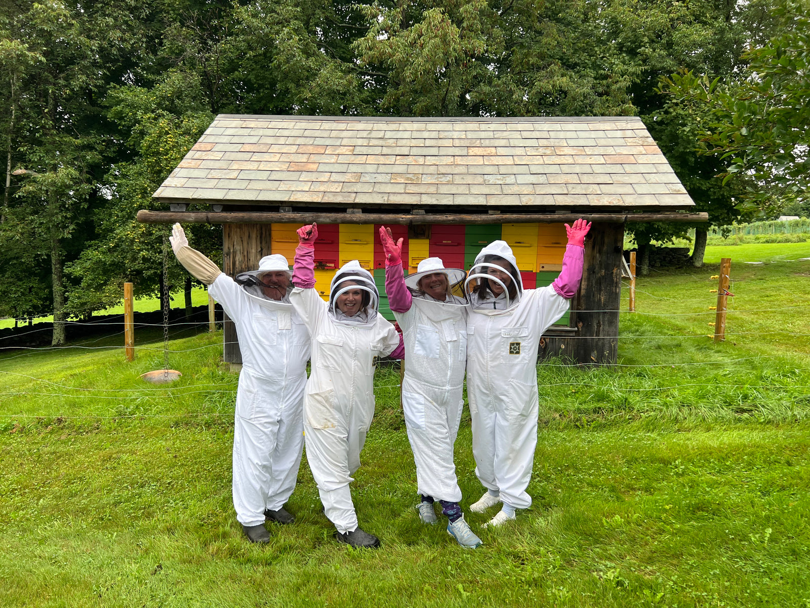 Private Bee Experience (up to 8 people)