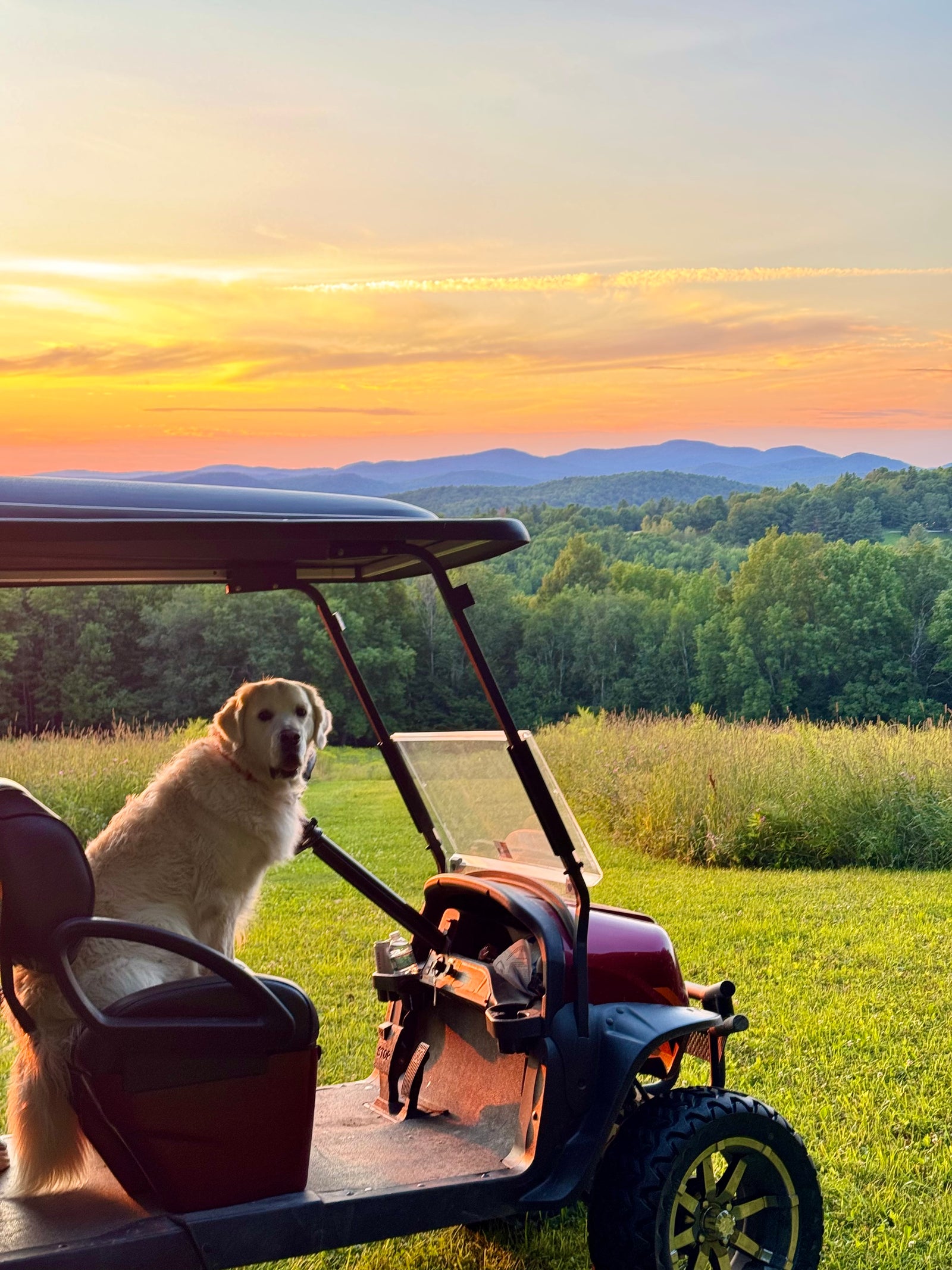 Private Sunset Safarmi™ on Golden Dog Farm