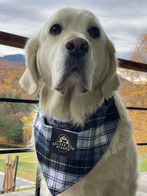 Golden Dog Farm Bandanas for your Golden Retriever Golden Dog Farm LLC