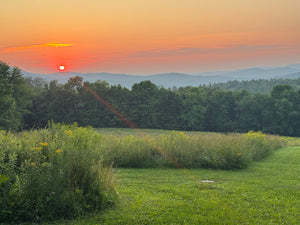 Private Sunset Safarmi™ on Golden Dog Farm