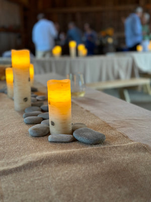 A Golden Evening and Fundraiser for the Morris Animal Foundation