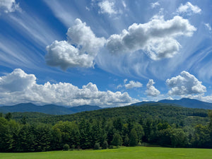 Brushstrokes of Happiness:  A Golden Retriever Focused Painting Retreat 8/25-8/27