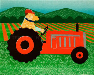 Stephen Huneck "The Tractor"